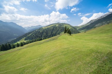 Pastoral yaz manzara Alpleri'nde