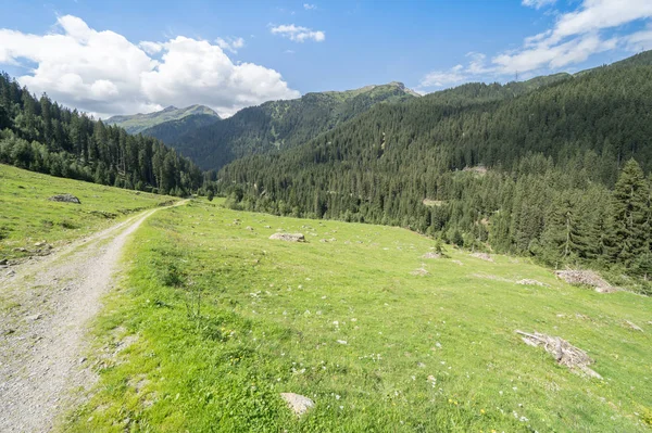 Wandelpad in Alpen — Stockfoto