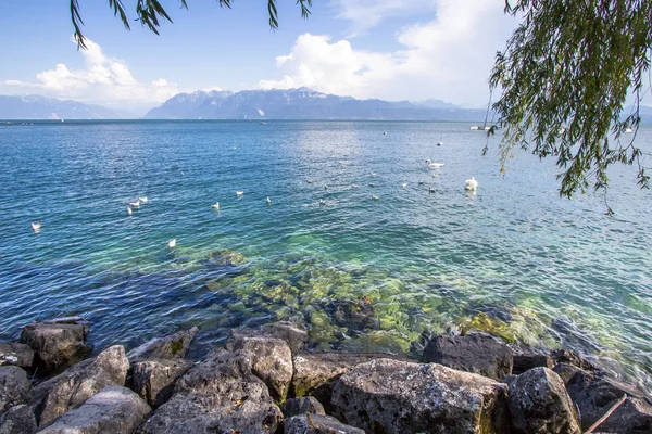 Lago de Ginebra panorama, Suiza —  Fotos de Stock