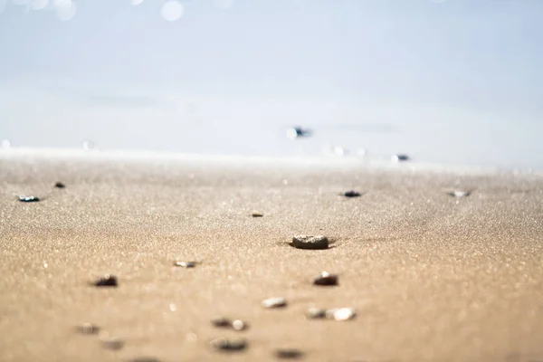 Stenen op het natte zand — Stockfoto