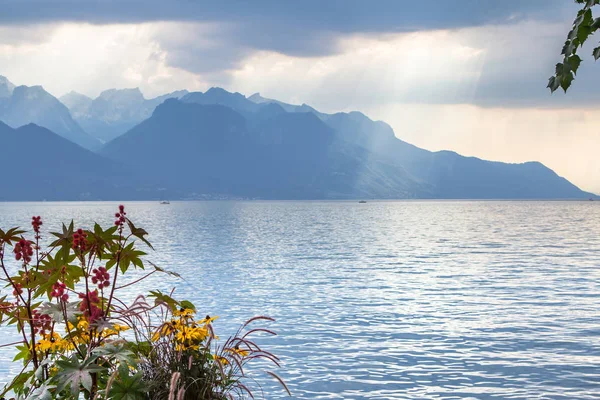 Geneva lake panorama, Ελβετία — Φωτογραφία Αρχείου