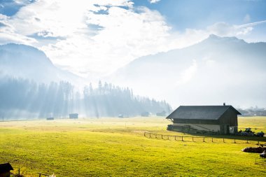 Alp çayırında bir kulübe 