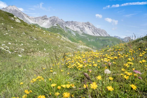 Krásná alpská krajina — Stock fotografie