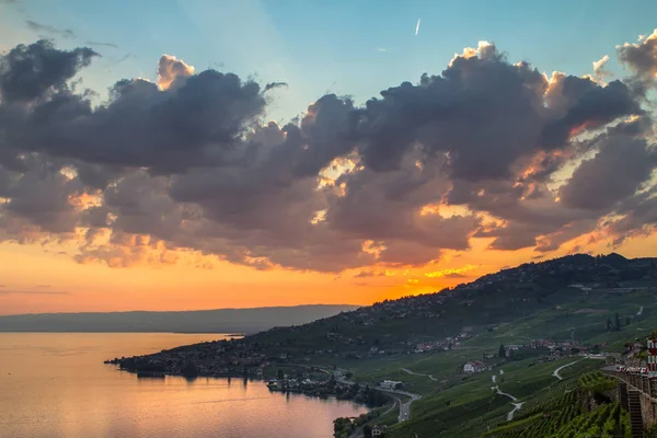 Vinice v regionu Lavaux, Švýcarsko — Stock fotografie