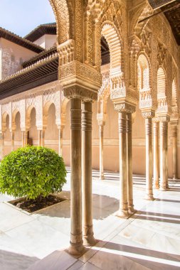 İspanya, Alhambra Granada 'daki Aslanların avlusu.