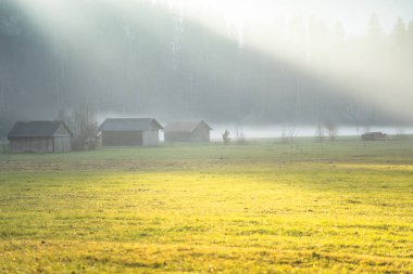 Alp çayırında gün doğumu 