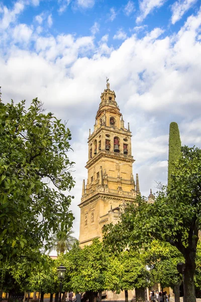 Torre de Alminar della Cattedrale di Mezquita a Cordova, Spagna — Foto Stock