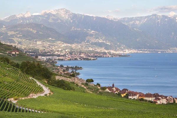Αμπελώνες στην περιοχή lavaux, Ελβετία — Φωτογραφία Αρχείου