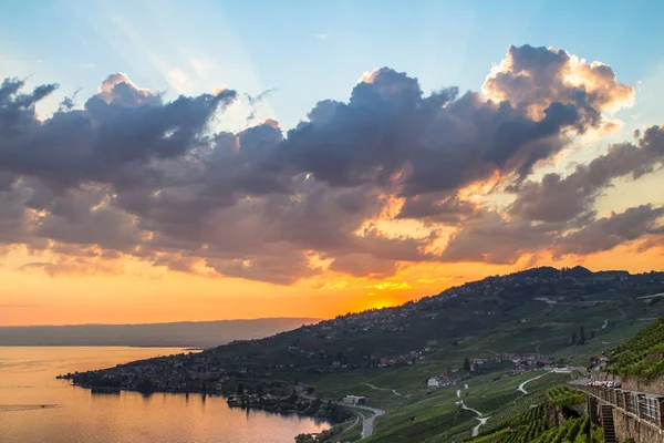 Lavaux bölgesindeki üzüm bağları, İsviçre