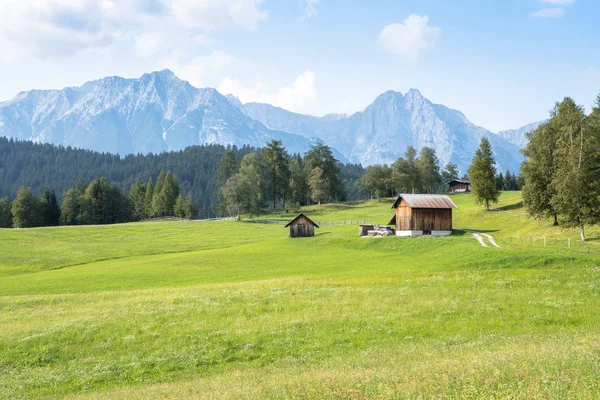 Alpenweide in de bergen — Stockfoto