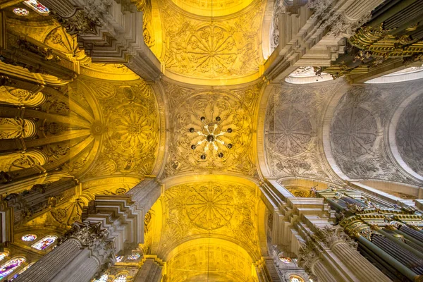 Vista interna della Cattedrale Malaga, Spagna — Foto Stock