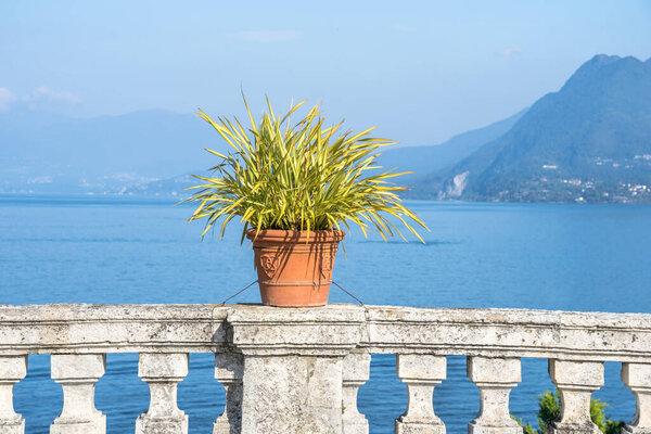 Garden of Palazzo Borromeo on famous Isola Bella, Lago Maggiore, Italy