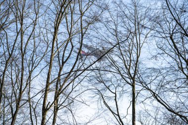 Ağaçla çerçevelenmiş uçak