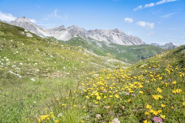 Krásná alpská krajina — Stock fotografie