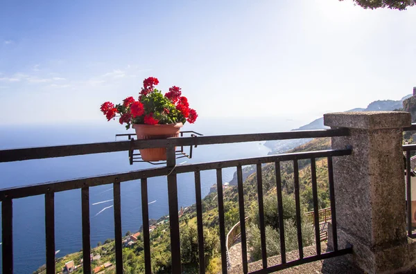 Pot de fleurs sur le point de vue sur la côte amalfitaine, Italie — Photo