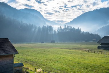 Alp çayırında gün doğumu 