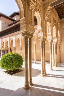 İspanya, Alhambra Granada 'daki Aslanların avlusu.