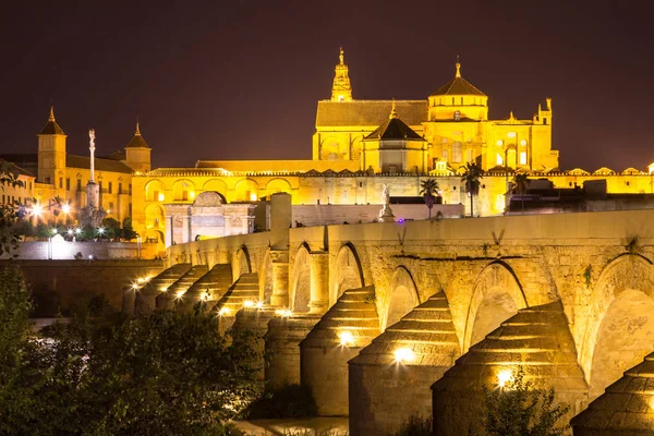 Vista noturna da Mezquita e da Ponte Romana em Córdoba, Espanha — Fotografia de Stock