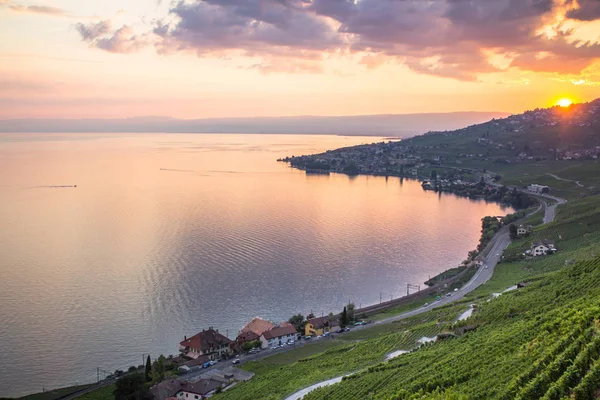 Světově Proslulé Vinice Regionu Lavaux Při Západu Slunce Švýcarsko — Stock fotografie