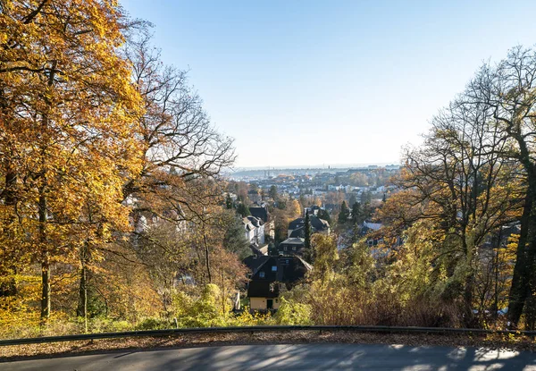 Otroligt Färgglad Park Med Vackra Höstträd Wiesbaden Tyskland — Stockfoto