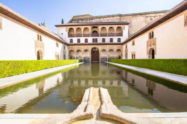 Alhambra Comare Patio, Granada, Endülüs, İspanya 'nın güzel avlusu