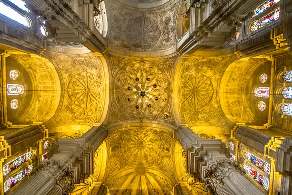Pohled Krásný Osvětlený Strop Katedrály Malaze Andalusie Španělsko — Stock fotografie