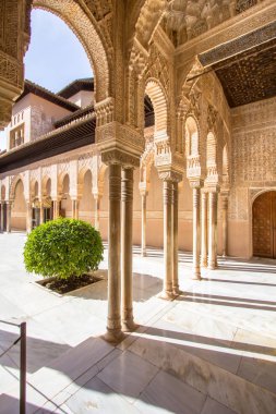 Arap tarzında güzel kemerler Alhambra Granada 'daki Aslanların avlusunda, Endülüs, İspanya