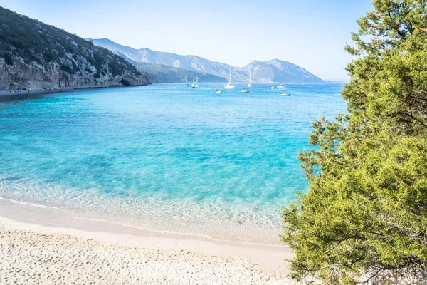 Famosa Playa Cala Luna Golfo Orosei Cerdeña Italia — Foto de Stock