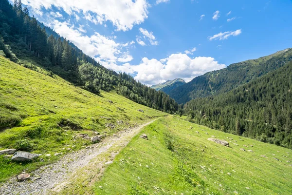 Ścieżka Turystyczna Alpach Saint Anton Tyrol Austria — Zdjęcie stockowe