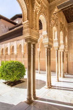 Arap tarzında güzel kemerler Alhambra Granada 'daki Aslanların avlusunda, Endülüs, İspanya