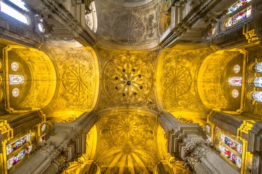 View of the beautiful, illuminated ceiling of the Cathedral in Malaga, Andalucia, Spain clipart