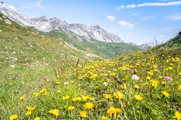 瑞士阿尔卑斯山的绿地和山峰 — 图库照片