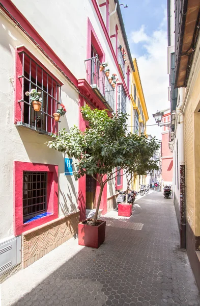 Uma Das Típicas Ruas Aconchegantes Estreitas Sevilha Andaluzia Espanha — Fotografia de Stock