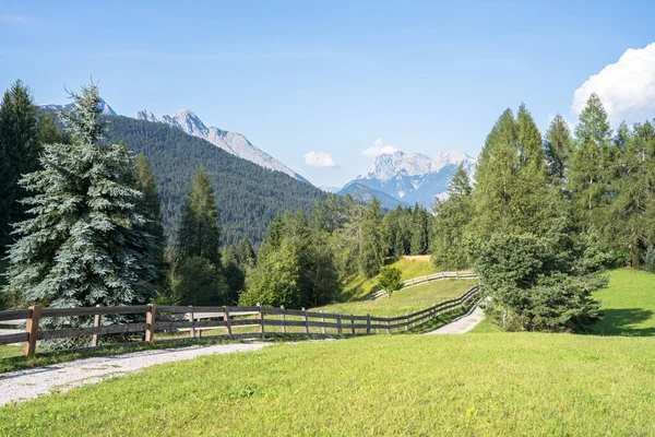 Piękna Alpejska Łąka Górach Latem — Zdjęcie stockowe
