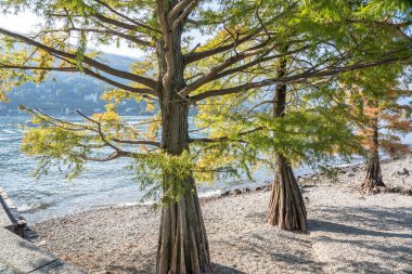 Isola dei Pescatori island in Maggiore lake, Borromean Islands, Italy