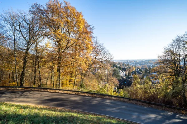 Almanya Nın Wiesbaden Şehrinde Sonbahar Ağaçlarıyla Dolu Inanılmaz Renkli Bir — Stok fotoğraf