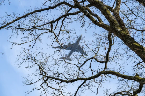 Big Airplane Framed Big Tree — ストック写真