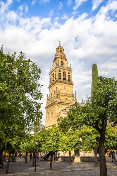 Klocktornet Torre Alminar Katedralen Mezquita Cordoba Andalusien Spanien — Stockfoto