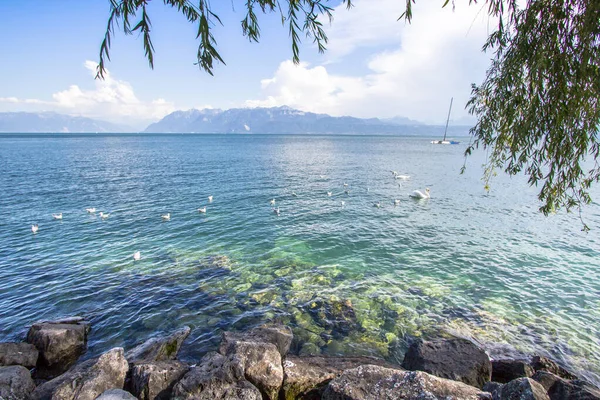 Wunderschönes Genfer Seepanorama Aus Lausanne Schweiz — Stockfoto