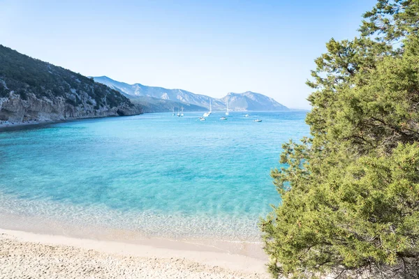 Famosa Playa Cala Luna Golfo Orosei Cerdeña Italia — Foto de Stock