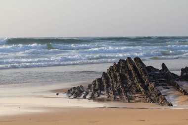 Sarı kumlu okyanus kıyısı