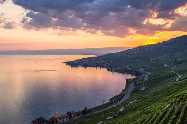 Weltberühmte Weinberge Der Lavaux Region Bei Sonnenuntergang Schweiz — Stockfoto