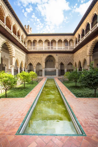 Jardin Verdoyant Calme Dans Patio Las Doncellas Séville Espagne — Photo