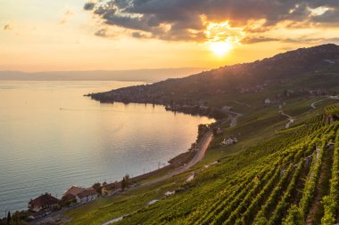 Lavaux bölgesindeki dünyaca ünlü üzüm bağları gün batımında, İsviçre