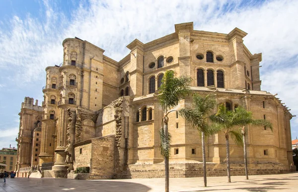 Inkarnationens Vackra Katedral Malaga Andalusien Spanien — Stockfoto