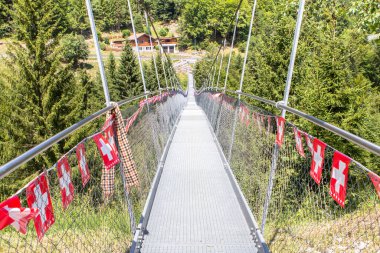 İsviçre, Torgon 'daki ünlü asma köprü.
