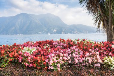 Lugano Gölü manzaralı, İsviçre