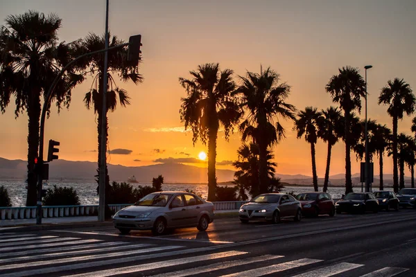 Silhouette Palms Sunset Front Bay Gibraltar Spain — Stock Photo, Image