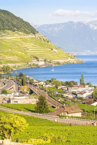 世界的に有名なブドウ畑は スイスのシュプレクスブルス地方のラヴォー地方 — ストック写真