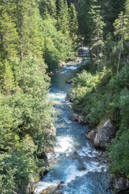 Yazın İsviçre Alplerinde akan nehir